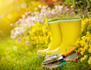 Spring has sprung! Time to get organized!