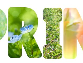 Spring is the perfect time for organizing important documents.