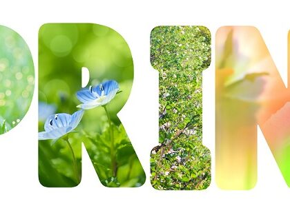 Spring is the perfect time for organizing important documents.